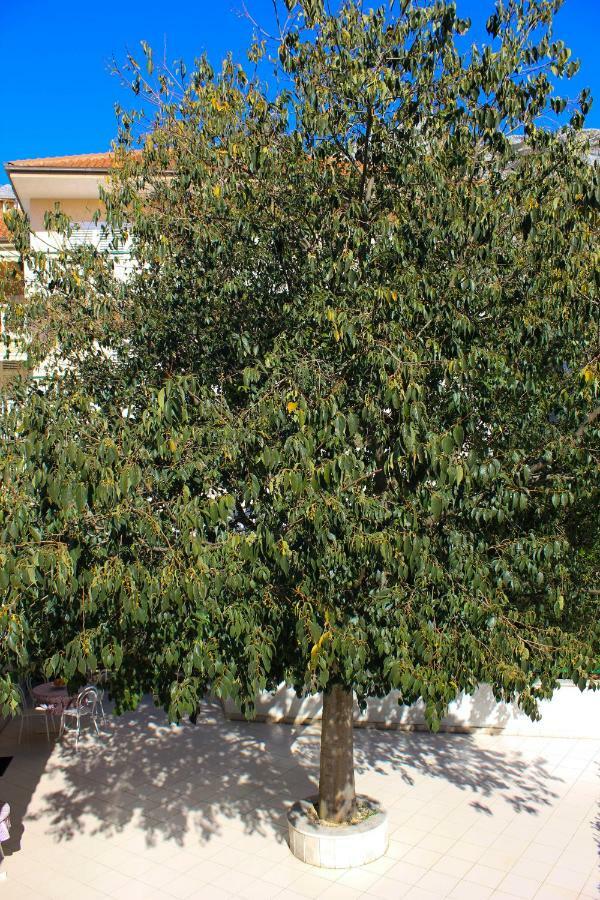 Apartments Pino Makarska Luaran gambar